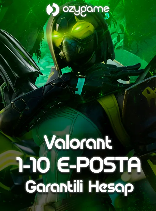 1-10 E Posta Garantili Hesap