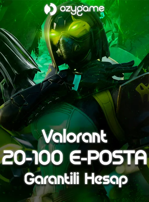 20-100 E Posta Garantili Hesap