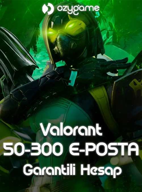 50-300 E Posta Garantili Hesap